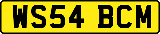 WS54BCM