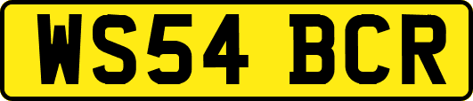 WS54BCR