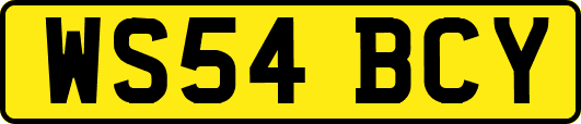 WS54BCY