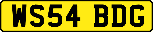WS54BDG
