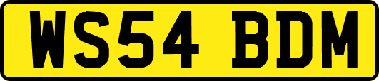 WS54BDM