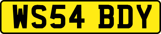 WS54BDY