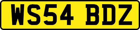 WS54BDZ