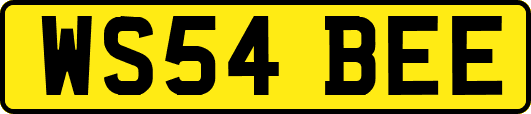 WS54BEE