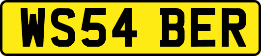 WS54BER