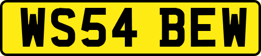 WS54BEW