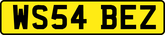 WS54BEZ