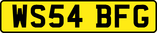 WS54BFG
