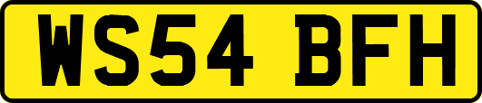 WS54BFH