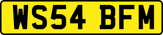 WS54BFM