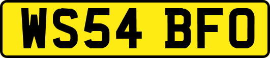 WS54BFO