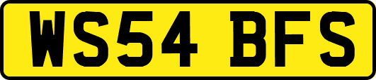 WS54BFS