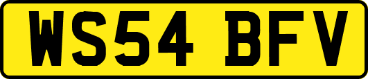 WS54BFV