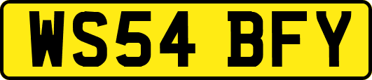 WS54BFY