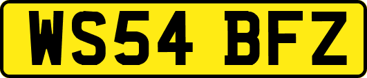 WS54BFZ
