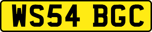 WS54BGC