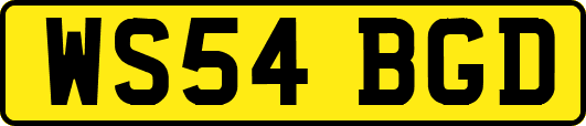 WS54BGD