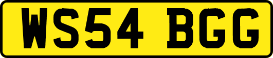 WS54BGG