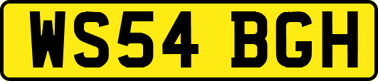 WS54BGH