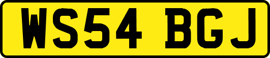 WS54BGJ