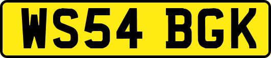 WS54BGK