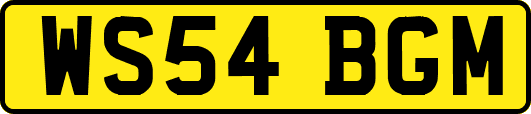 WS54BGM
