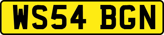WS54BGN