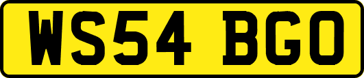 WS54BGO