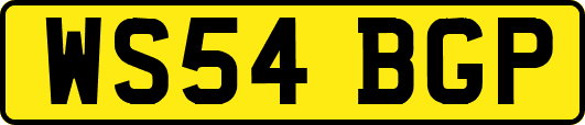 WS54BGP