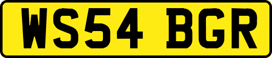 WS54BGR