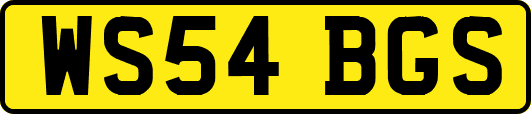 WS54BGS
