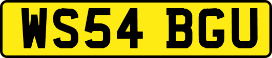 WS54BGU