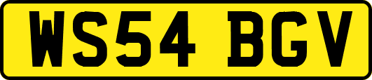 WS54BGV