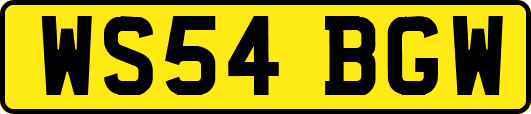 WS54BGW