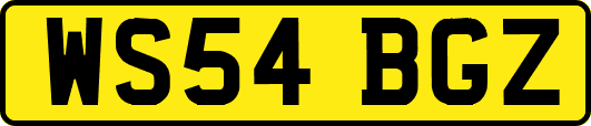 WS54BGZ