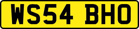 WS54BHO