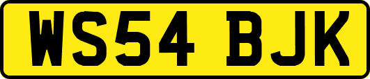 WS54BJK