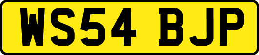 WS54BJP