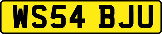 WS54BJU