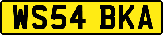 WS54BKA