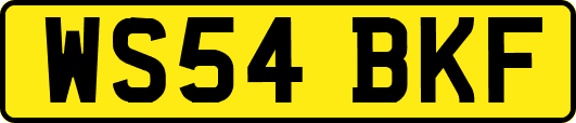 WS54BKF