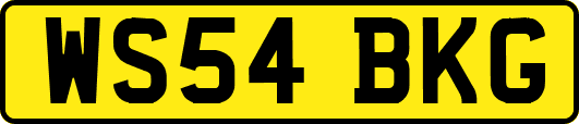 WS54BKG