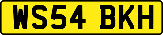 WS54BKH