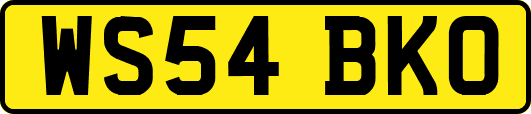 WS54BKO
