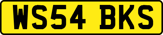 WS54BKS