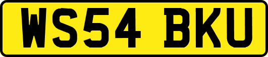 WS54BKU
