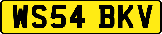 WS54BKV
