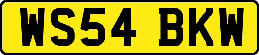 WS54BKW