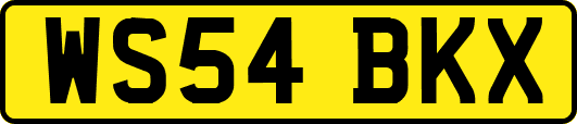 WS54BKX