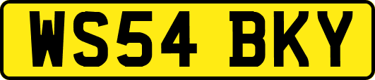 WS54BKY